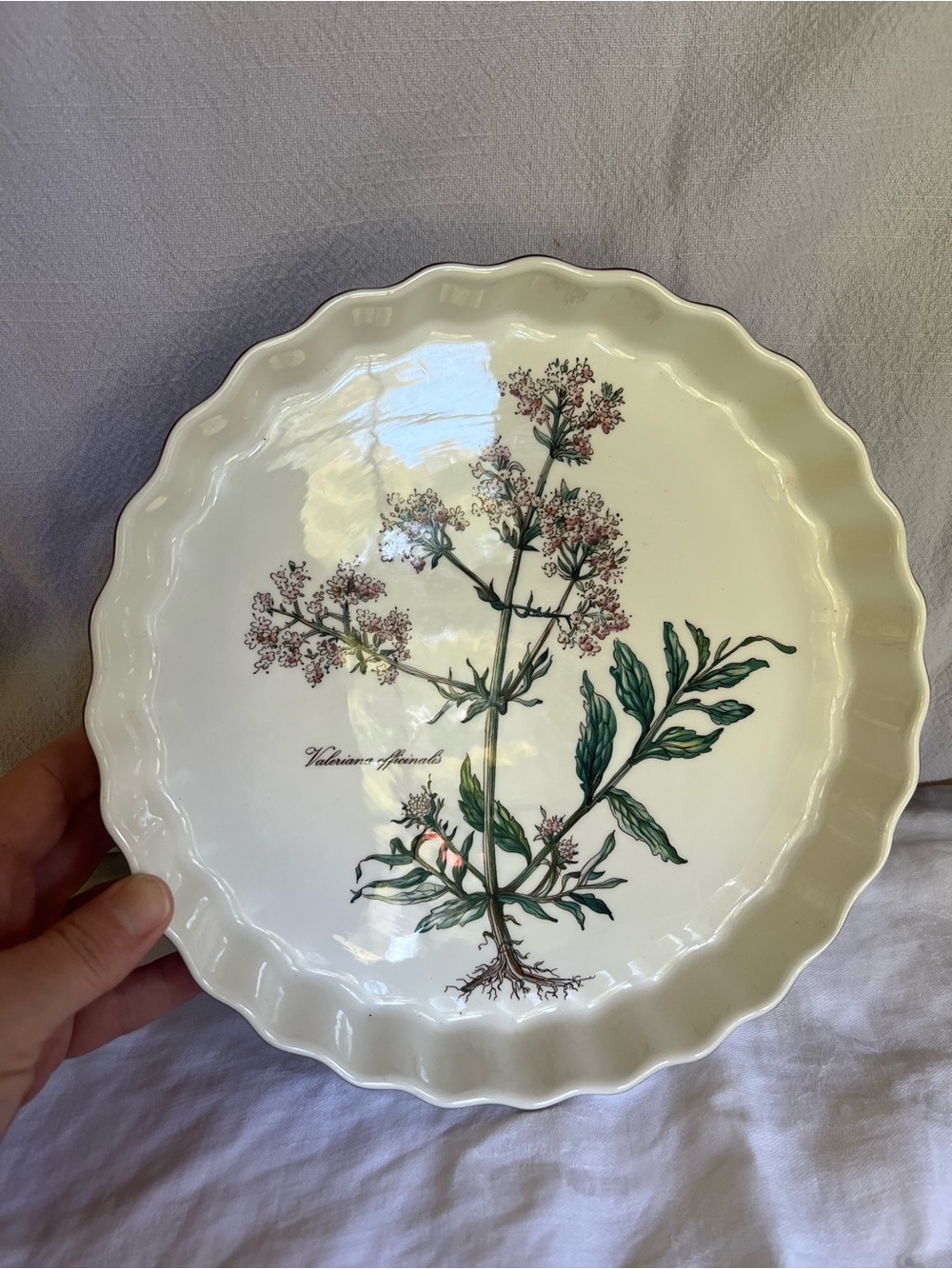 Villeroy & Boch Botanical Scalloped Pie Plate in Cream and Green
